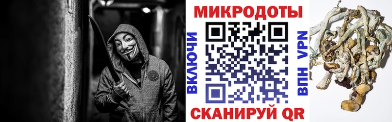 Галлюциногенные грибы Psilocybine cubensis  OMG маркетплейс  Ржев 