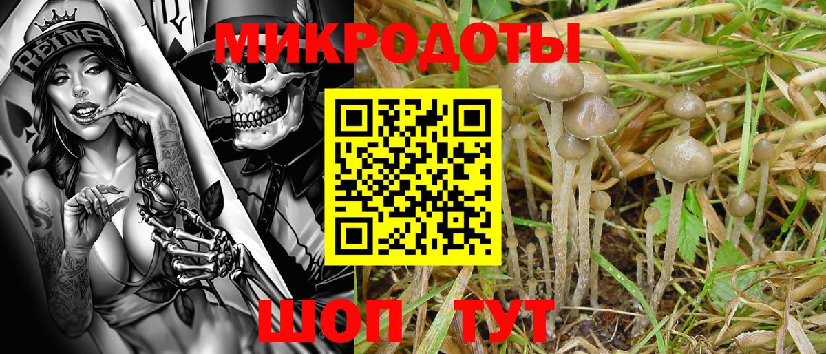 купить наркотик  Псилоцибиновые грибы мицелий  Вход с VPN  Ржев 